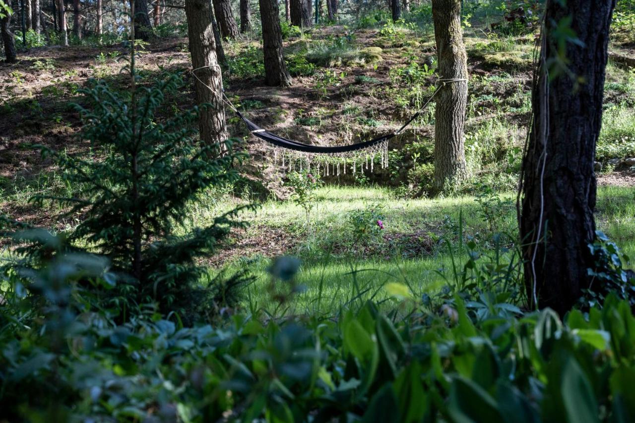 Uroczy Maly Domek Na Lesnej Dzialce - Losiowka Losie エクステリア 写真